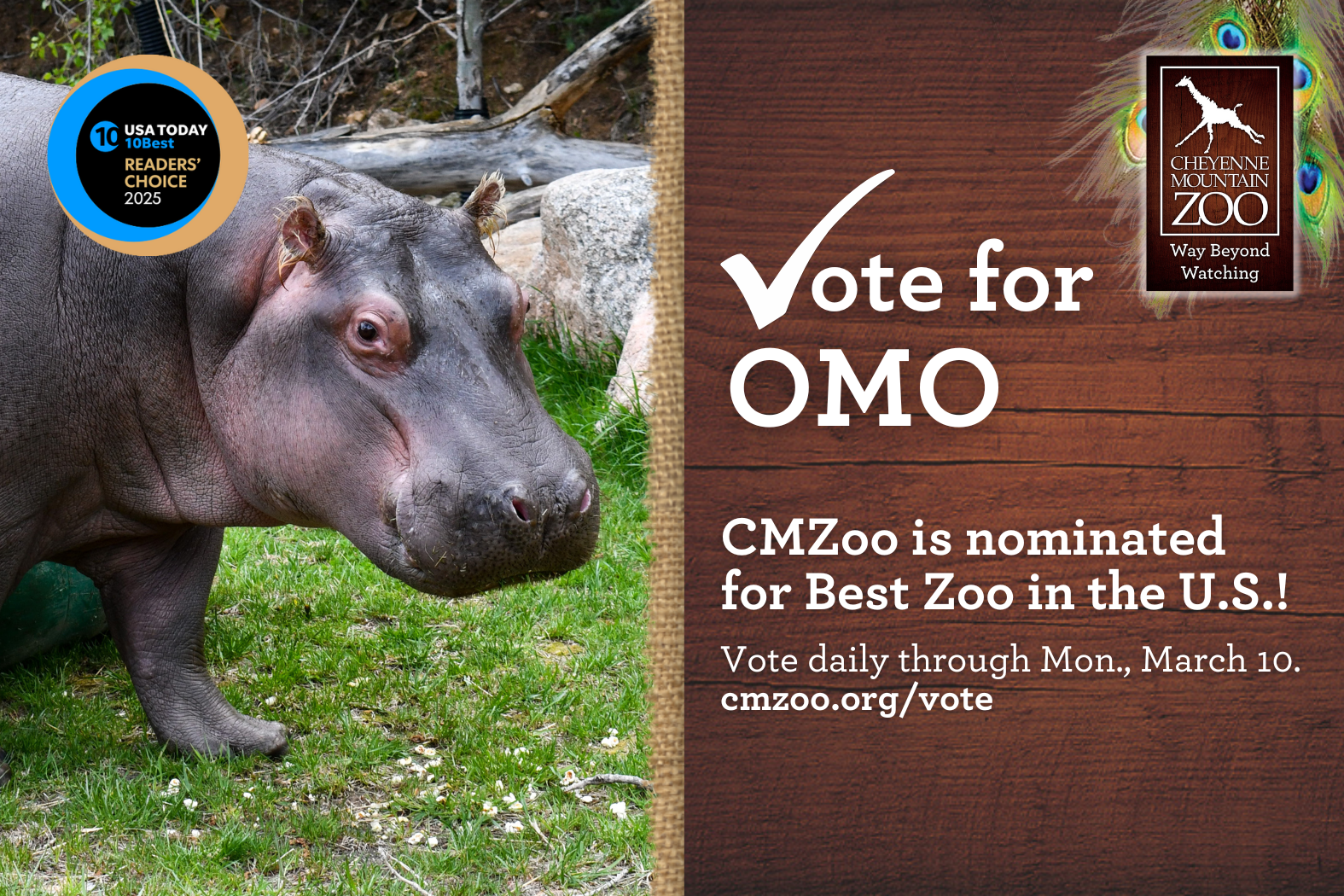 Vote for CMZoo for Best Zoo in USAToday's 10Best Reader's Choice Awards