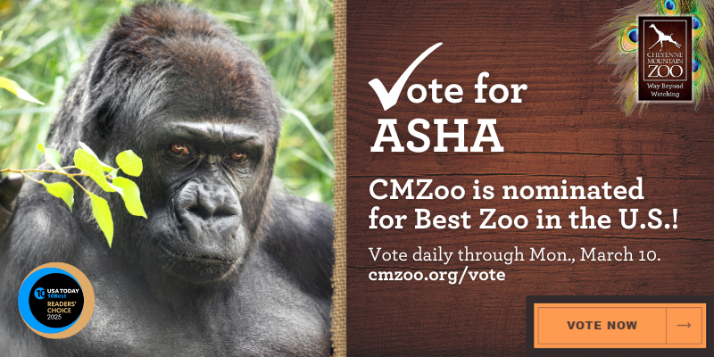 Vote for CMZoo for Best Zoo in USAToday's 10Best Reader's Choice Awards