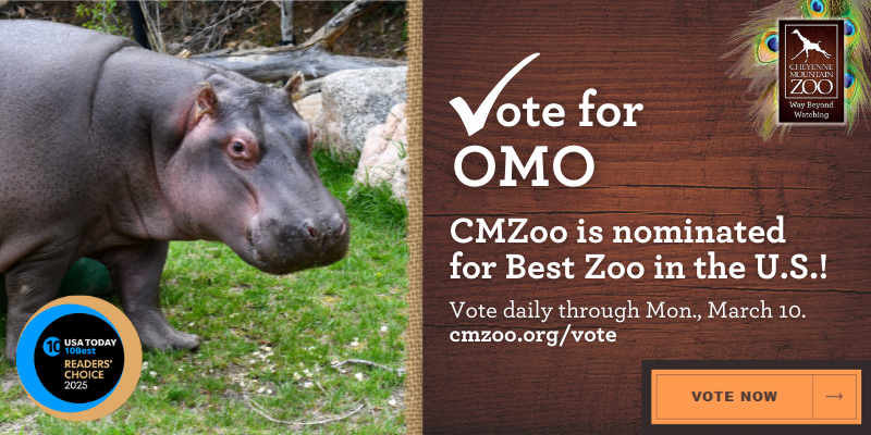 Vote for CMZoo for Best Zoo in USAToday's 10Best Reader's Choice Awards