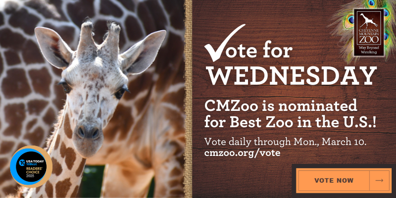 Vote for CMZoo for Best Zoo in USAToday's 10Best Reader's Choice Awards