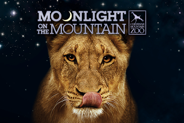 Moonlight on the Mountain graphic logo