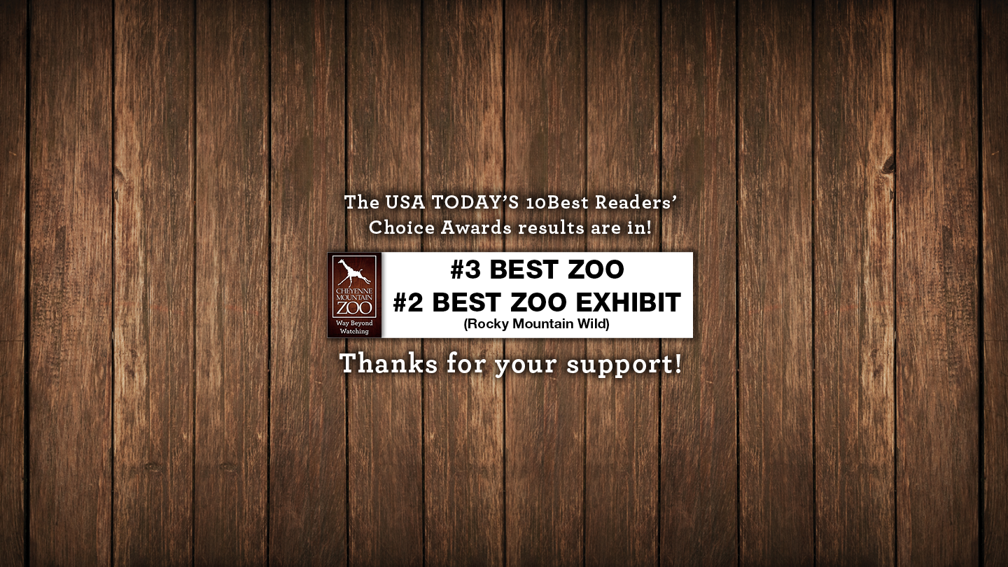 Cheyenne Mountain Zoo Voted 3 Best Zoo In North America By USA TODAY   2022.10Best 1440x810 