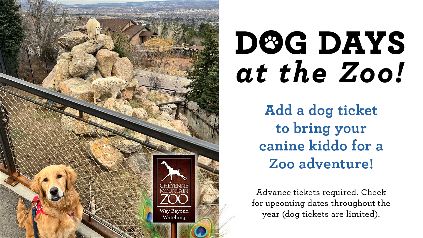 Dog Days at the Zoo, June 12 & 24, July 16 & 31