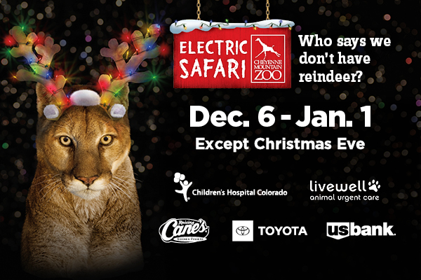 Electric Safari 2024 - join us evenings of Dec. 6-23, 25-Jan. 1, 2025