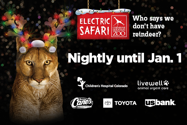 Electric Safari 2024 - join us evenings of Dec. 6-23, 25-Jan. 1, 2025