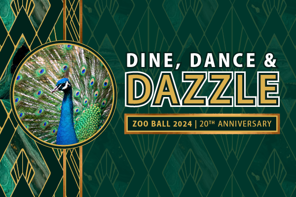 Zoo Ball 2024: Dine, Dance & Dazzle