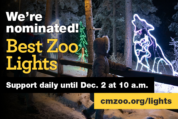 Vote for CMZoo for BEST ZOO LIGHTS - daily Nov. 4 through Dec. 2 at 9:59 a.m.