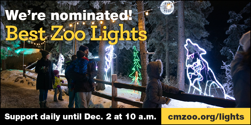 Vote for CMZoo for BEST ZOO LIGHTS