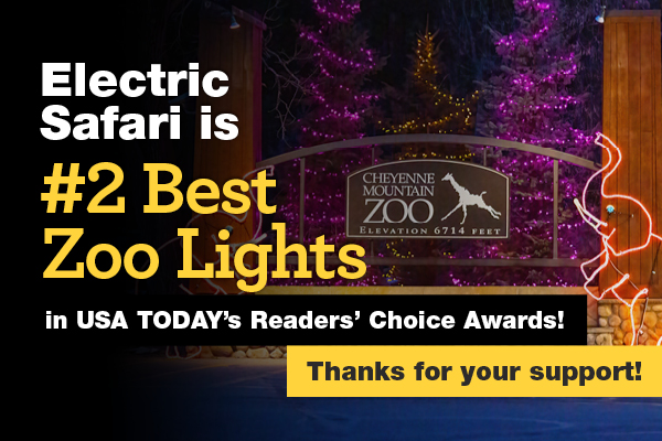 Electric Safari Ranked #2 Best Zoo Lights in North America in USA TODAY’s 10Best Readers’ Choice Awards - Nightly Dec. 6-23, 25-January 1, 2025