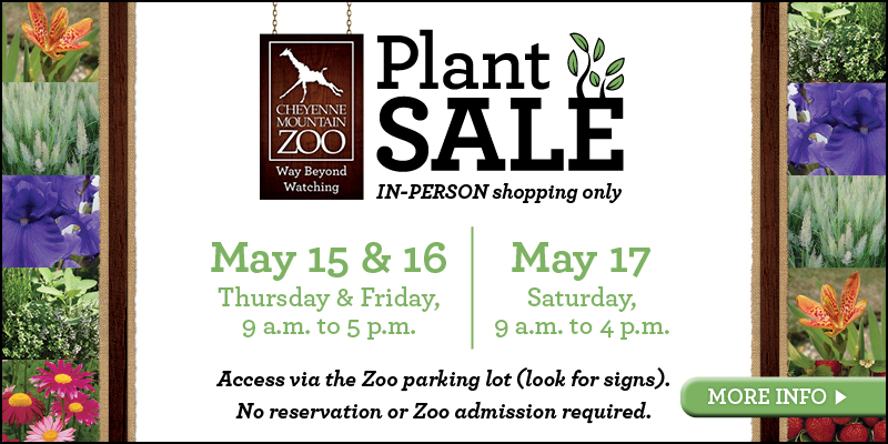 Annual Plant Sale