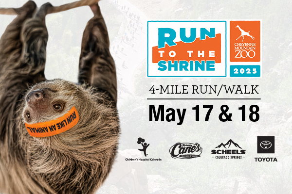 Run to the Shrine 2025 May 17 & 18 - Registration is open!