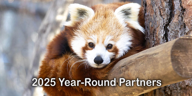 2025 Year-Round Partners