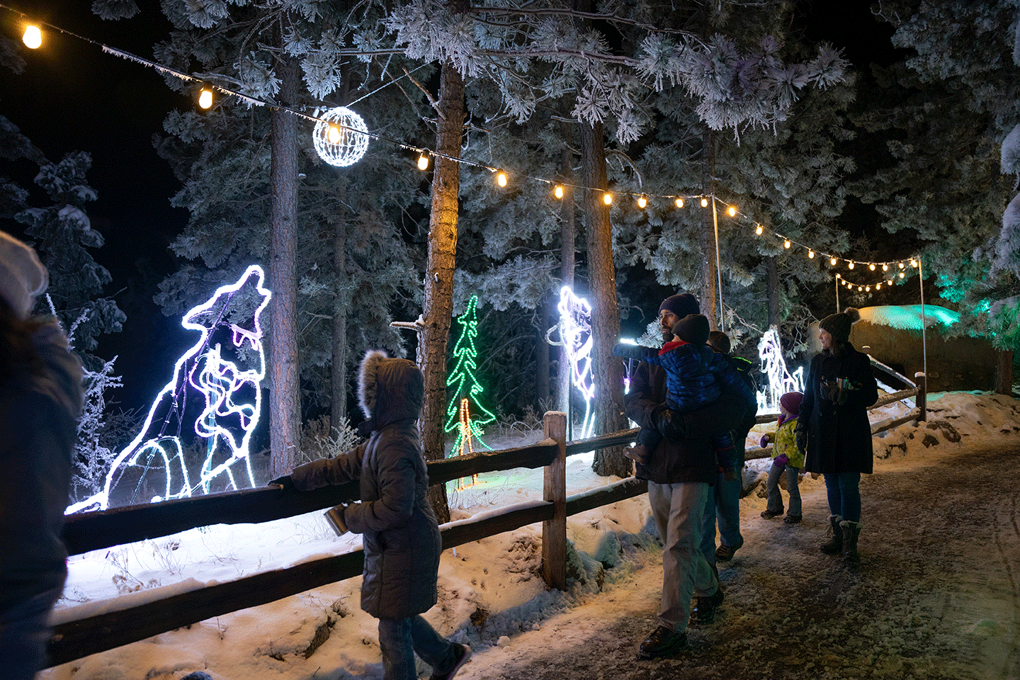 Electric Safari scene with wolf and moon and guests enjoying the evening at Cheyenne Mountain Zoo