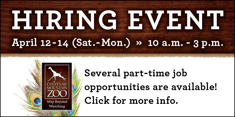 Hiring Event