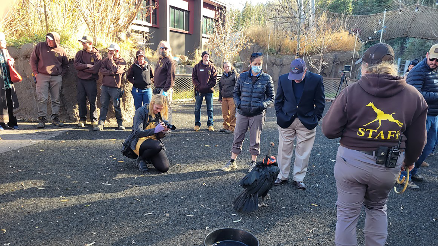 Cheyenne Mountain Zoo Earns ‘Extremely Rare’ Clean Accreditation from