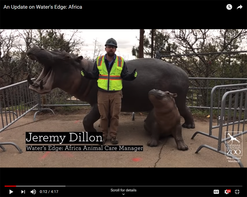 New Exhibit, Water's Edge: Africa, Construction Progress Update - CMZoo