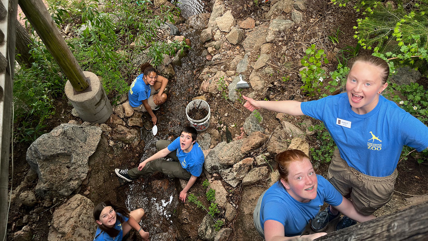 Teen Program Summer Applications Open February 1 CMZoo