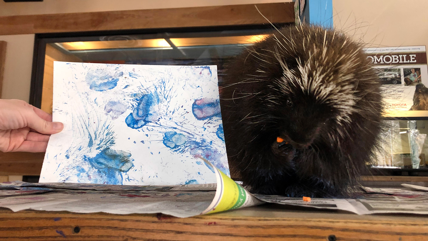 Animal Artists Participate in Painting Enrichment - And You Can Bring It  Home - CMZoo