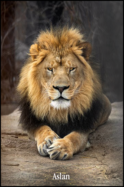 Aslan, The Lion