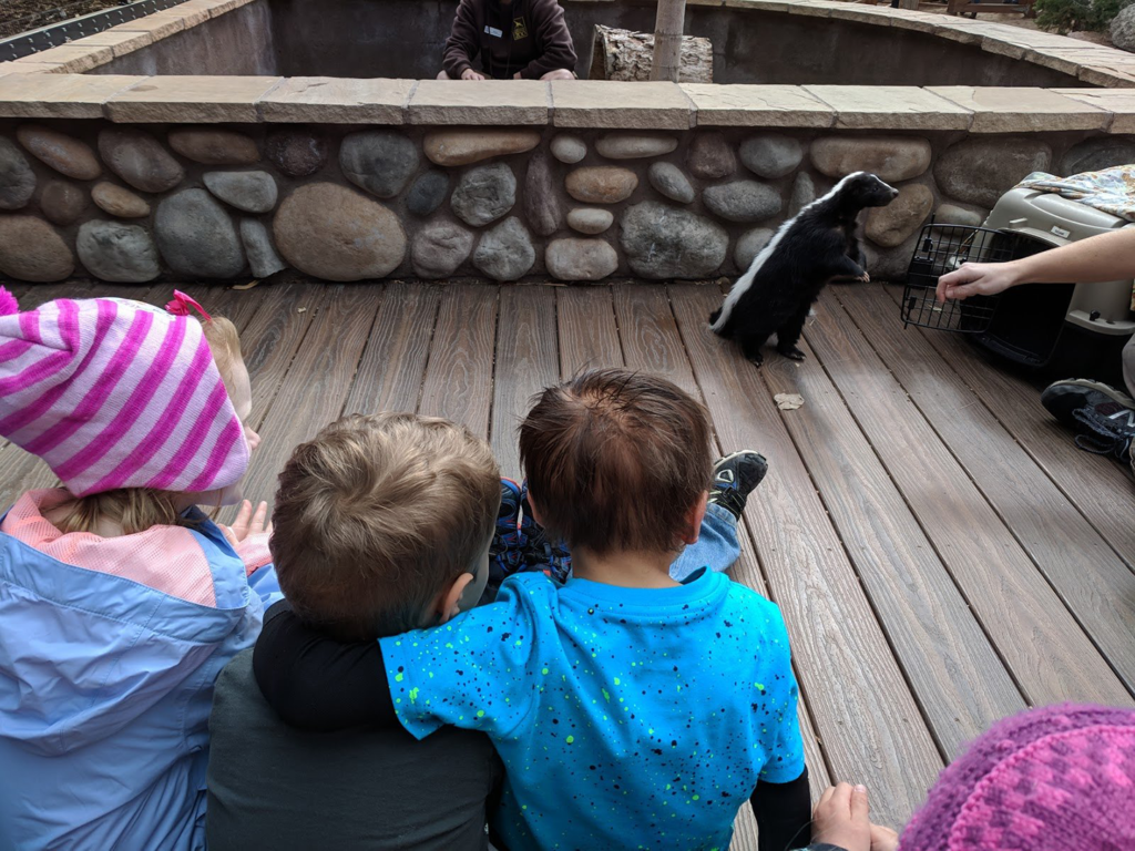 spring break camp cleveland metroparks zoo 25 mar